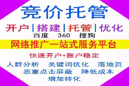 案例研究：SEM开户助力电商快速崛起